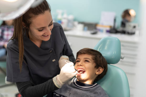 Best Emergency Dentist for Knocked-Out Tooth in Vla Park, IL