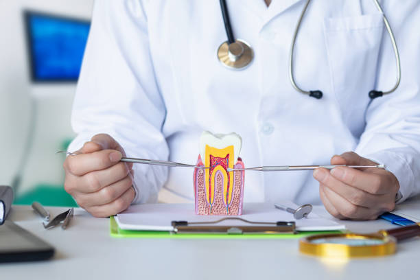 Best Emergency Root Canal Treatment in Vla Park, IL
